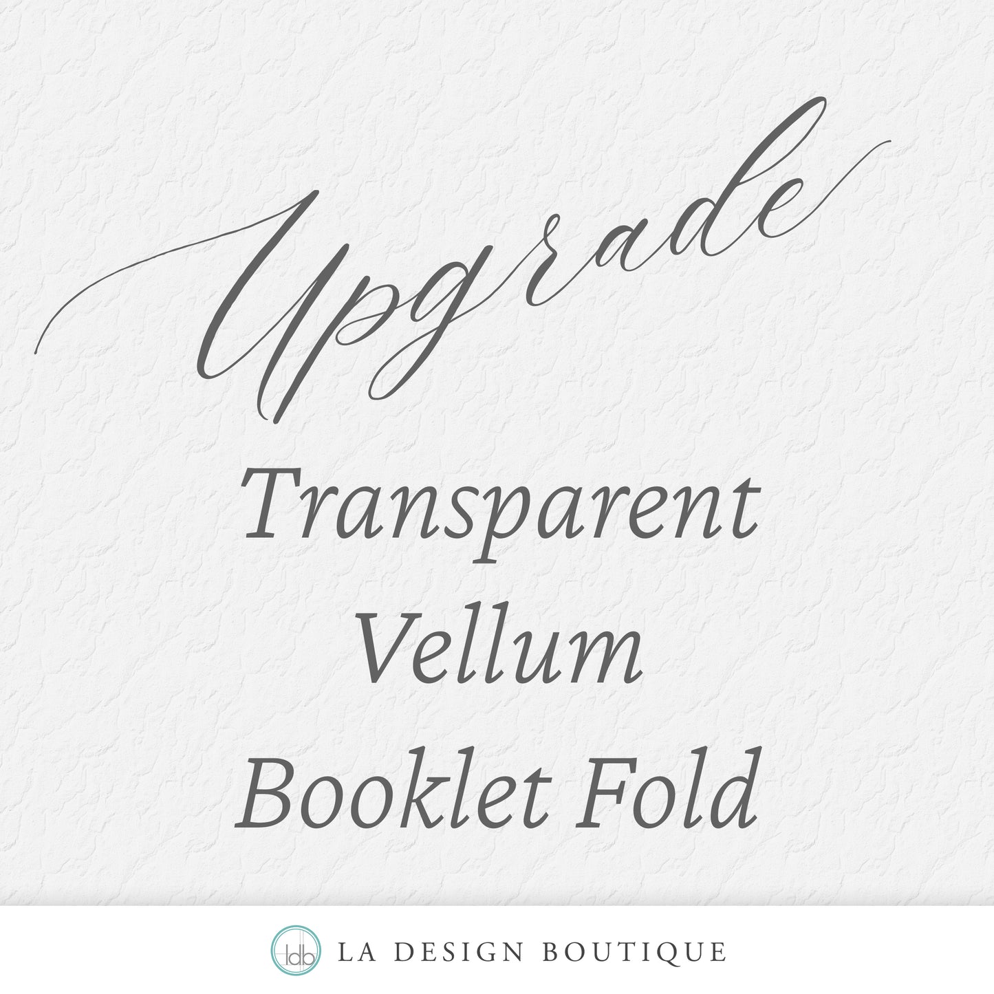 Bi-Fold Transparent Vellum Booklet Upgrade for Invitation Suite