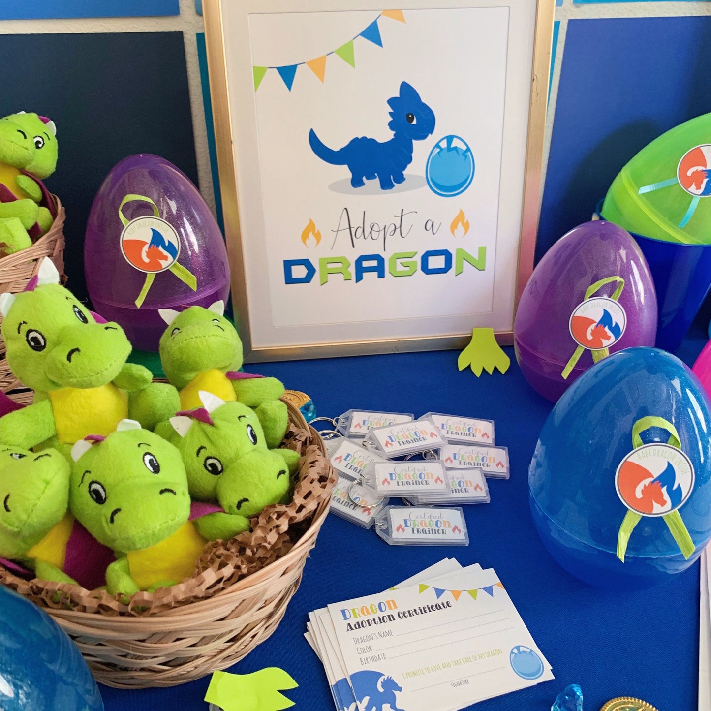Adopt a Dragon Station with Certificate and Sign