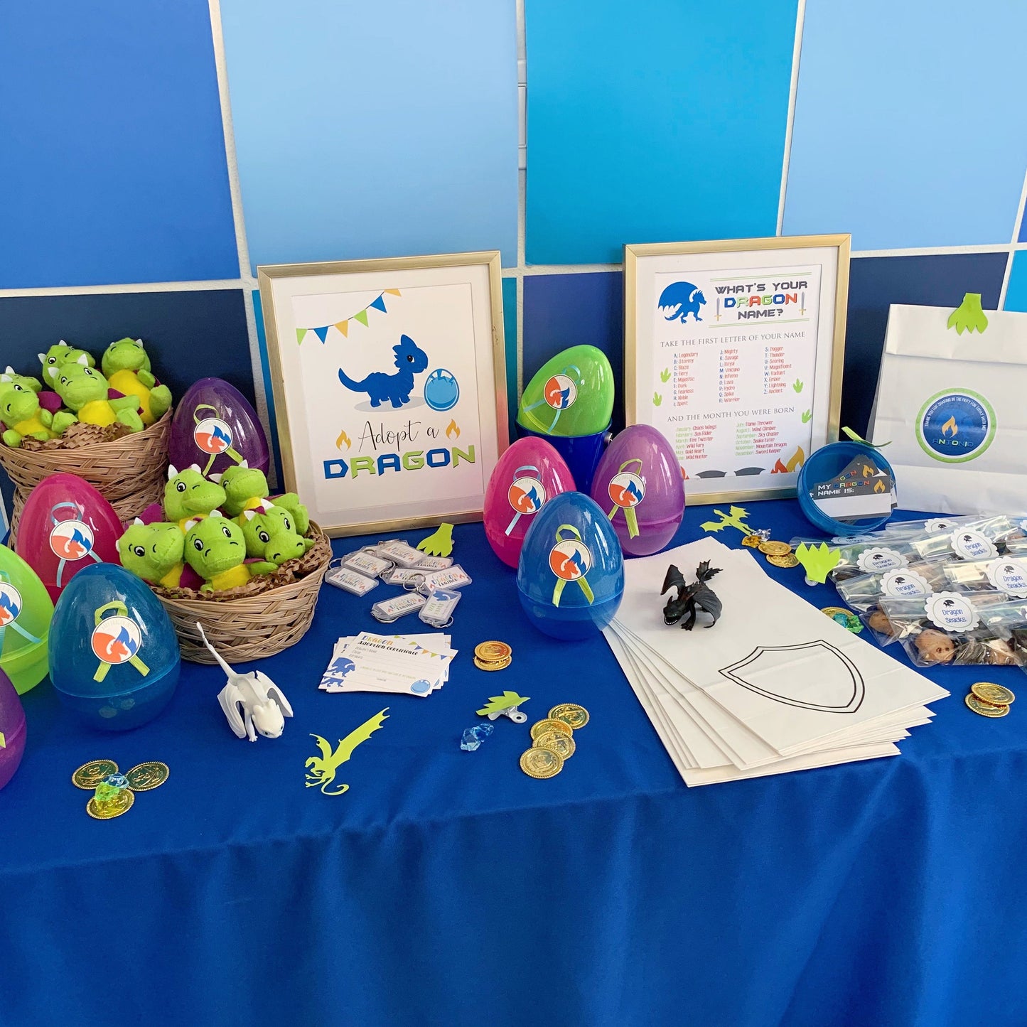 Adopt a Dragon Station with Certificate and Sign